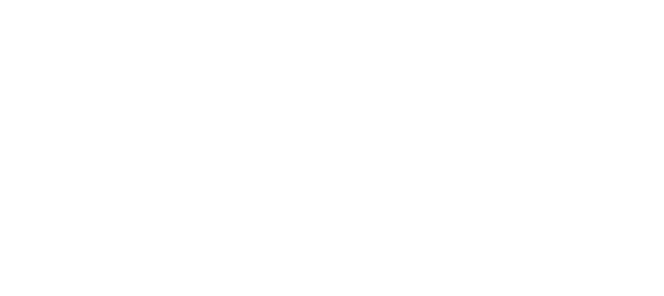 Truex Preferred Construction logo white